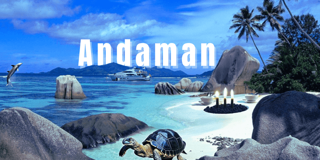 The Andaman beaches are known for their pristine beauty, featuring soft white sands, crystal-clear turquoise waters, and swaying palm trees. These serene shores offer a tranquil escape, perfect for relaxing, sunbathing, or exploring vibrant coral reefs just offshore.