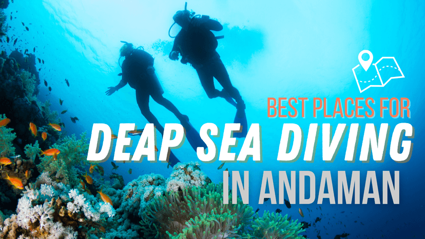 Experience the beauty of Corbyn's Cove Beach, a pristine stretch of sand fringed by swaying palm trees. Immerse yourself in the rich history and culture of the Andaman and Nicobar Islands at the Anthropological Museum. Embark on an exciting excursion to Ross Island, a former British colonial outpost.